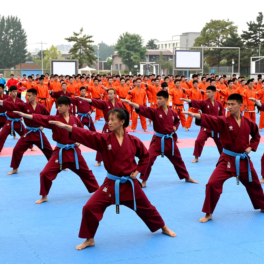Võ thuật Việt Nam và khoảng trống dữ liệu: Nhìn thẳng vào sân đấu không khán giả