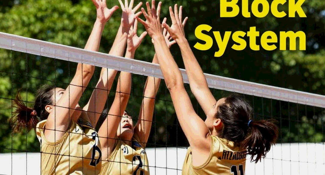 Tờ giấy trắng giữa lưới và vạch biên: Kỳ chuyển nhượng bóng chuyền và cái bẫy của dữ liệu rỗng Tờ giấy trắng giữa lưới và vạch biên: Kỳ chuyển nhượng bóng chuyền và cái bẫy của dữ liệu rỗng